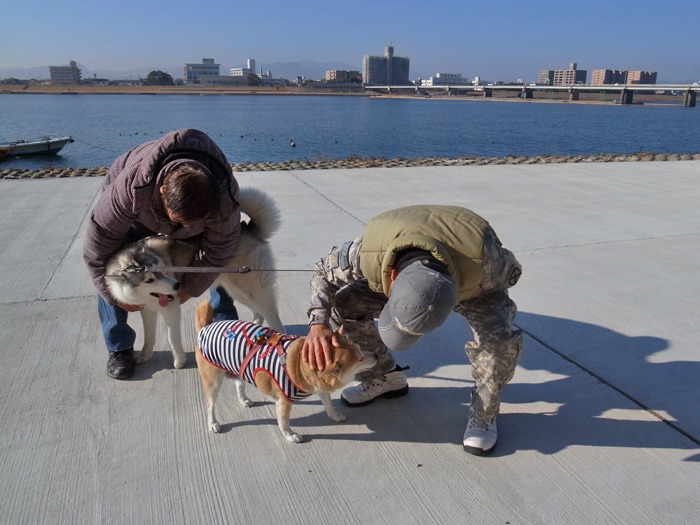 c0049299_205595.jpg