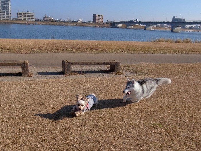 c0049299_2092875.jpg