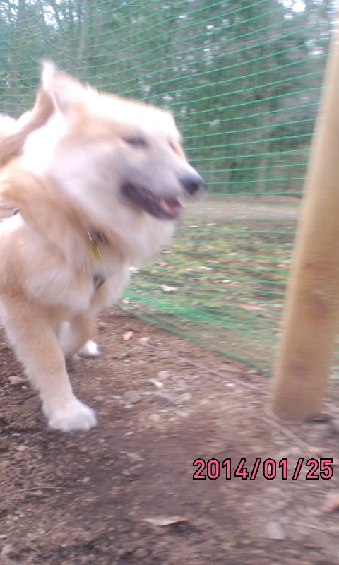 ランラン♪RUN!!_c0311400_813763.jpg