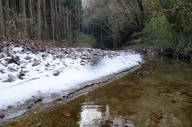 e0137200_1747030.jpg