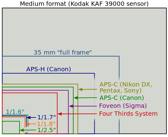 b0050305_1315293.png
