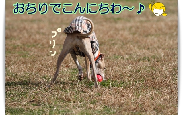 e0100007_19443791.jpg