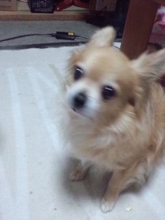 e0309011_22485581.jpg