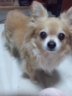 e0309011_22491117.jpg