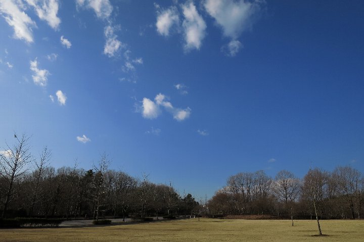 a0268412_21481337.jpg