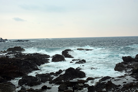 独立自尊のミルク、その涙無しの旅立ち ~ また釧路でお会いしましょう、お元気で!_a0151913_310760.jpg