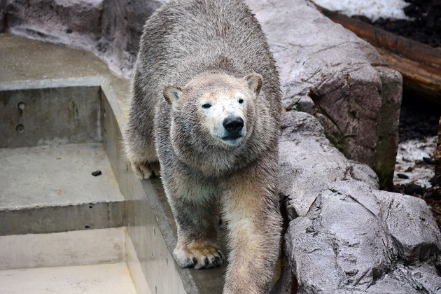 独立自尊のミルク、その涙無しの旅立ち ~ また釧路でお会いしましょう、お元気で!_a0151913_38422.jpg