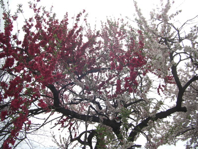 c0074721_1613412.jpg