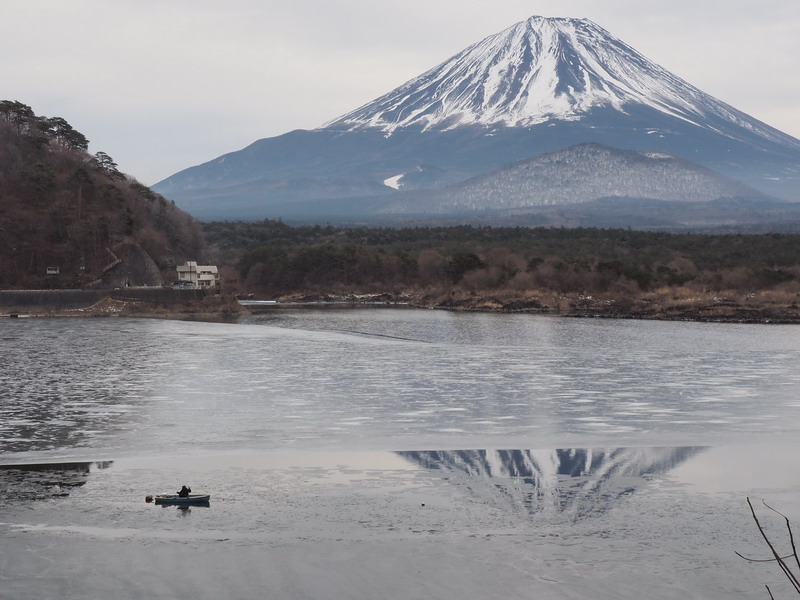 20140126 大寒の散歩道：富士山麓のチョウ越冬卵_d0090322_1823889.jpg