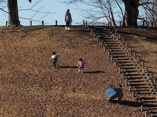 20140126 大寒の散歩道：富士山麓のチョウ越冬卵_d0090322_1864185.jpg