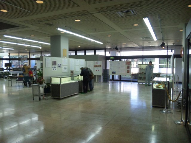c0236527_1371180.jpg