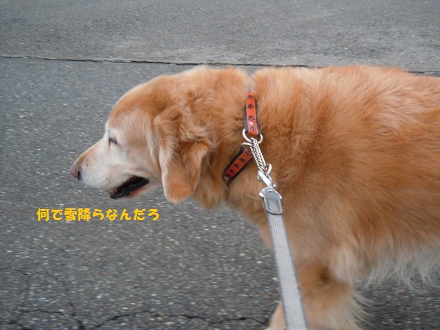 f0114128_18153773.jpg