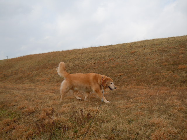 f0114128_18154666.jpg