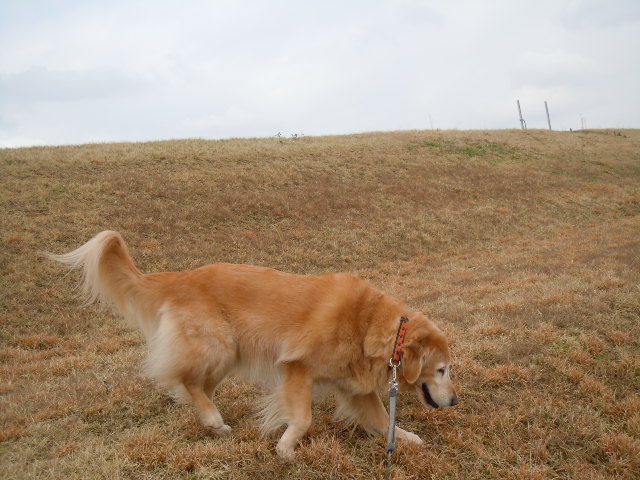 f0114128_18155524.jpg