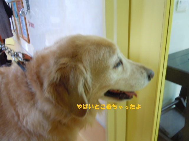 f0114128_18274543.jpg