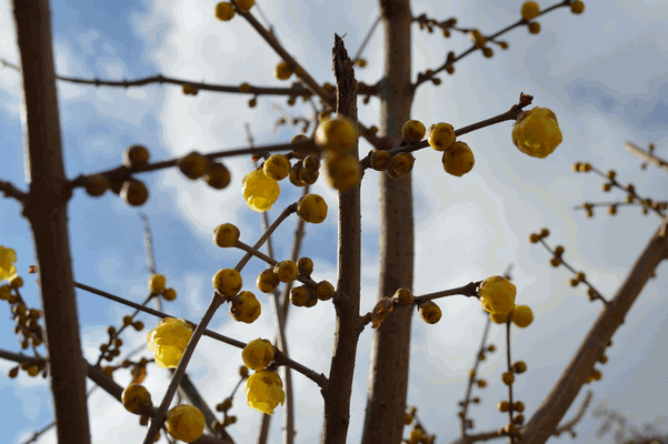c0136736_8281049.gif