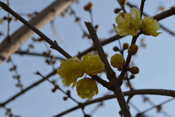 c0136736_8302973.gif