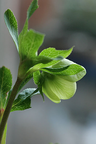 f0271343_14244998.jpg