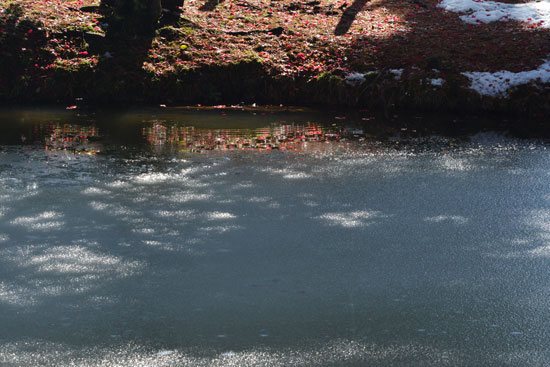 c0093046_8263918.jpg