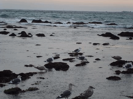 f0031546_1683387.gif