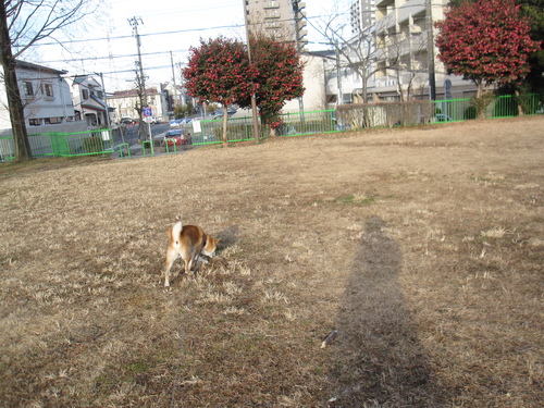 f0245650_8512018.jpg