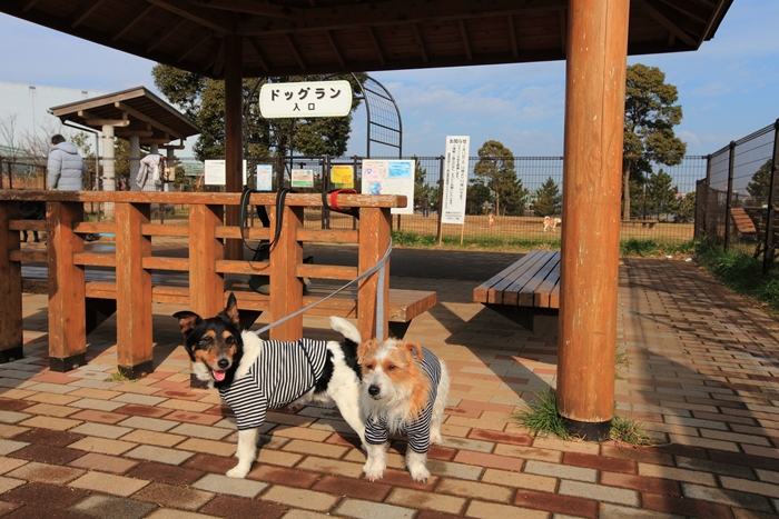 城南島海浜公園_d0168652_1737428.jpg