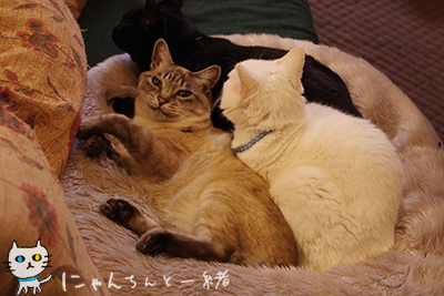 モデル小僧さん_e0031853_20112587.jpg