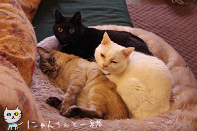 モデル小僧さん_e0031853_20114514.jpg
