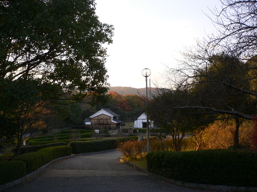 f0301753_731240.jpg