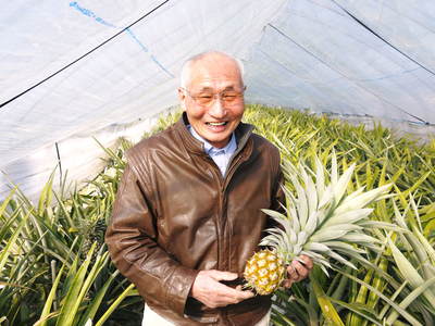 熊本産パイナップル! 熊本でパイナップルを育てて30年の匠!まだまだこれからも研究します!!_a0254656_17523422.jpg