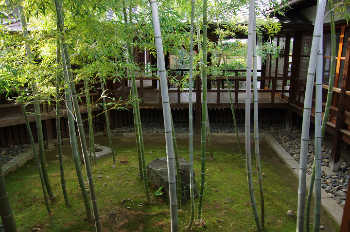 京の冬の旅　-妙顕寺-_f0303870_21221338.jpg