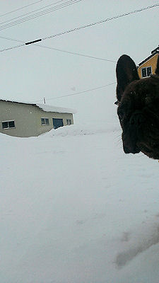 b0056476_22543914.jpg