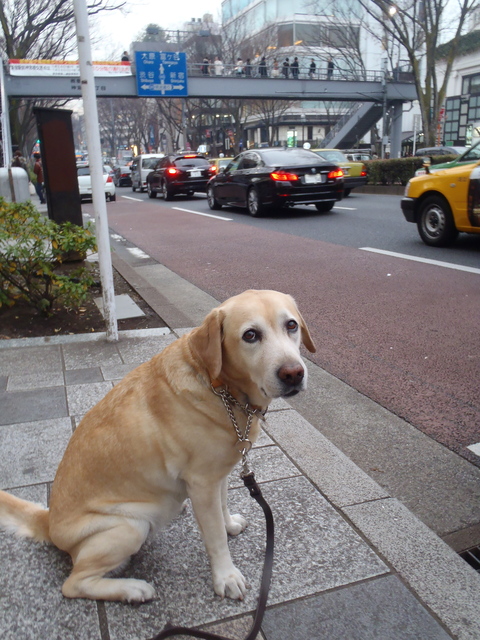 f0052277_155411.jpg