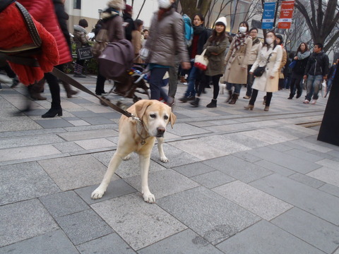 f0052277_1563100.jpg