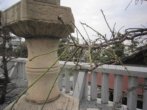 e0254678_17335.jpg