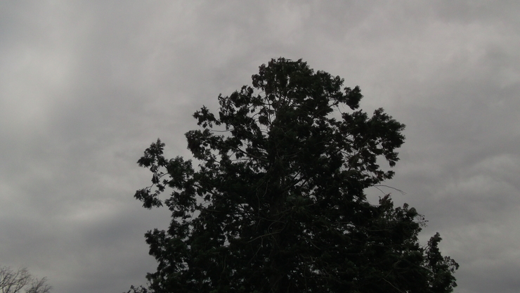 c0212083_21434851.jpg