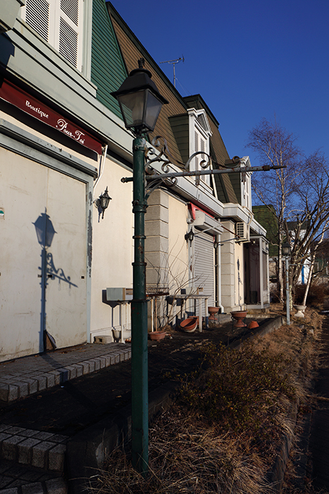 レイクニュータウン 軽井沢1263