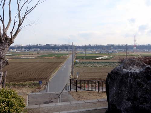 d0085887_2111962.jpg