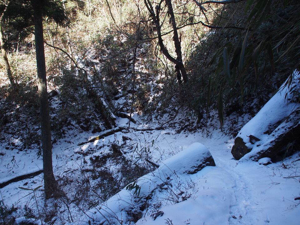 続　2014/01/24（金）#5　静寂の雪道、高野山女人道・三山巡り　快晴　単独_c0134193_10593929.jpg