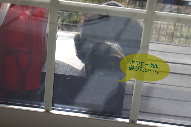 c0117597_1563471.jpg