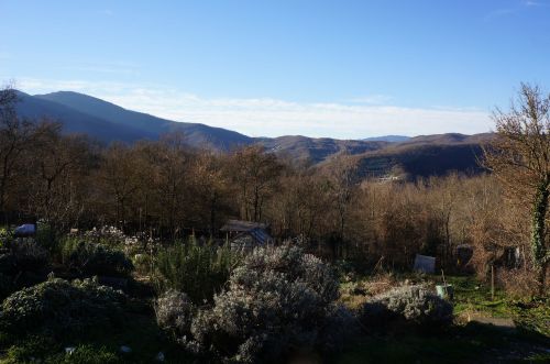 1月の畑_f0106597_01523119.jpg