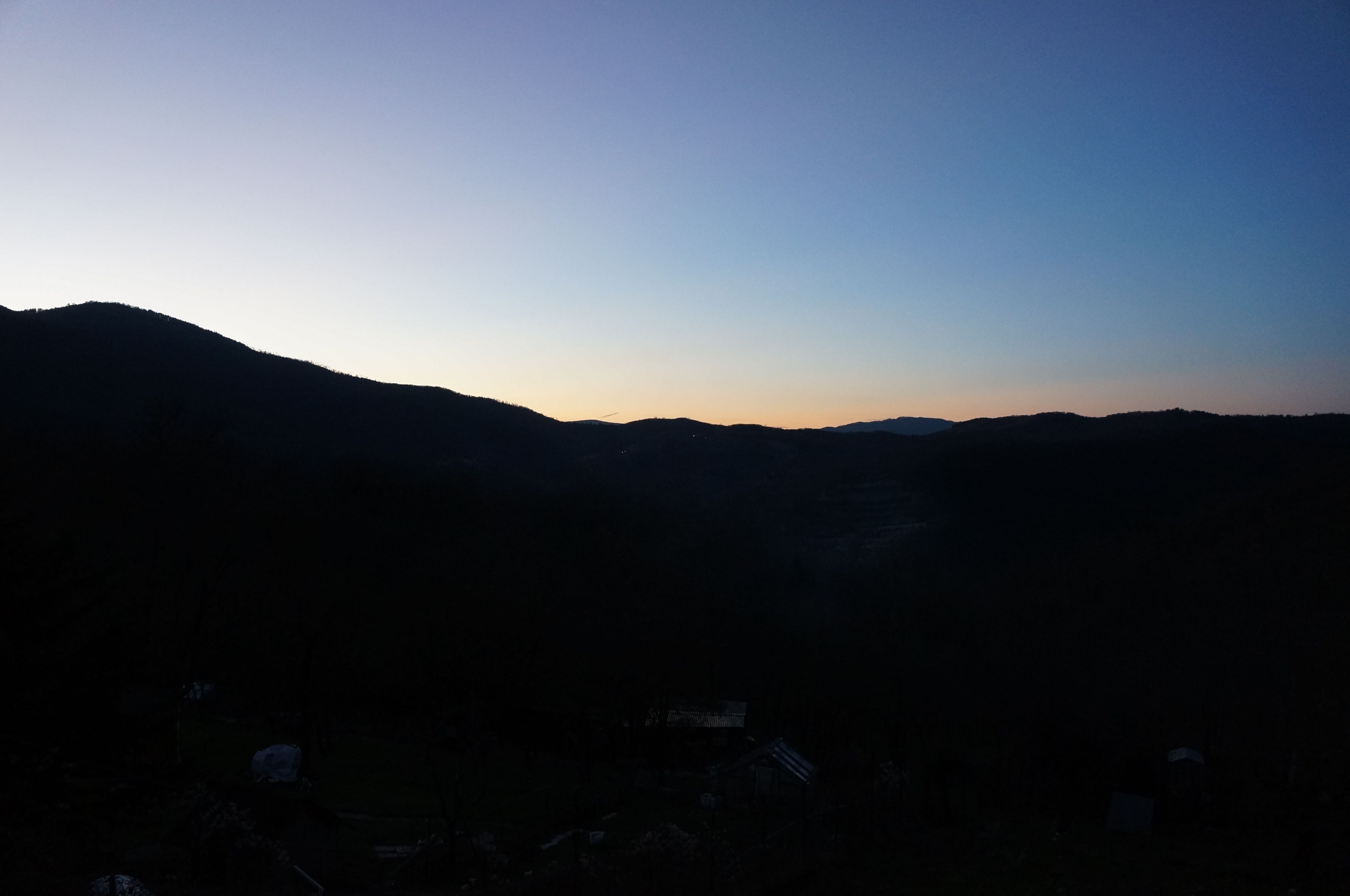 1月の畑_f0106597_02223694.jpg