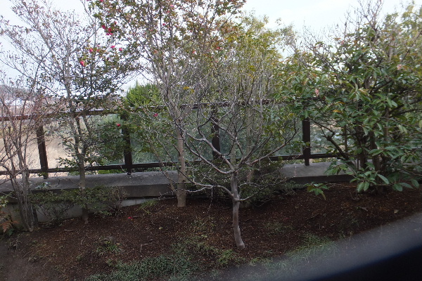 d0080998_22574321.jpg