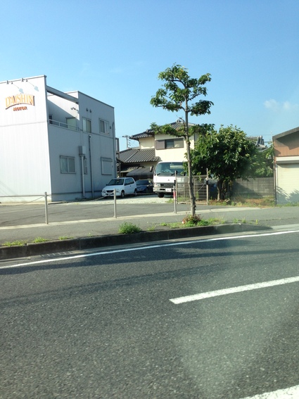 コラボ?我が家に養子がやってきた。_e0117398_13535797.jpg