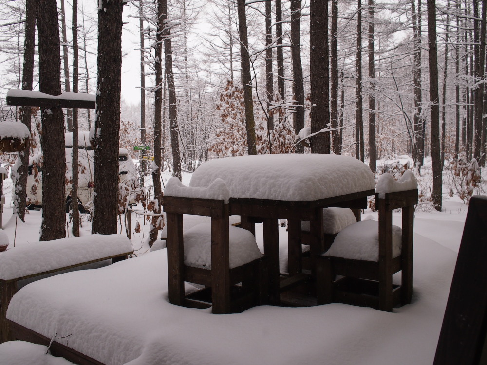 雪の少ない今年の中札内村・・初めてのまとまった積雪になりました。_f0276498_16492580.jpg