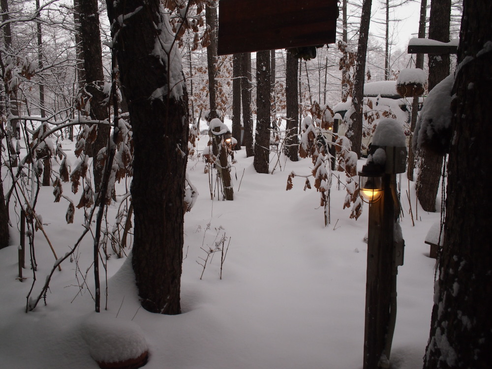 雪の少ない今年の中札内村・・初めてのまとまった積雪になりました。_f0276498_165057.jpg