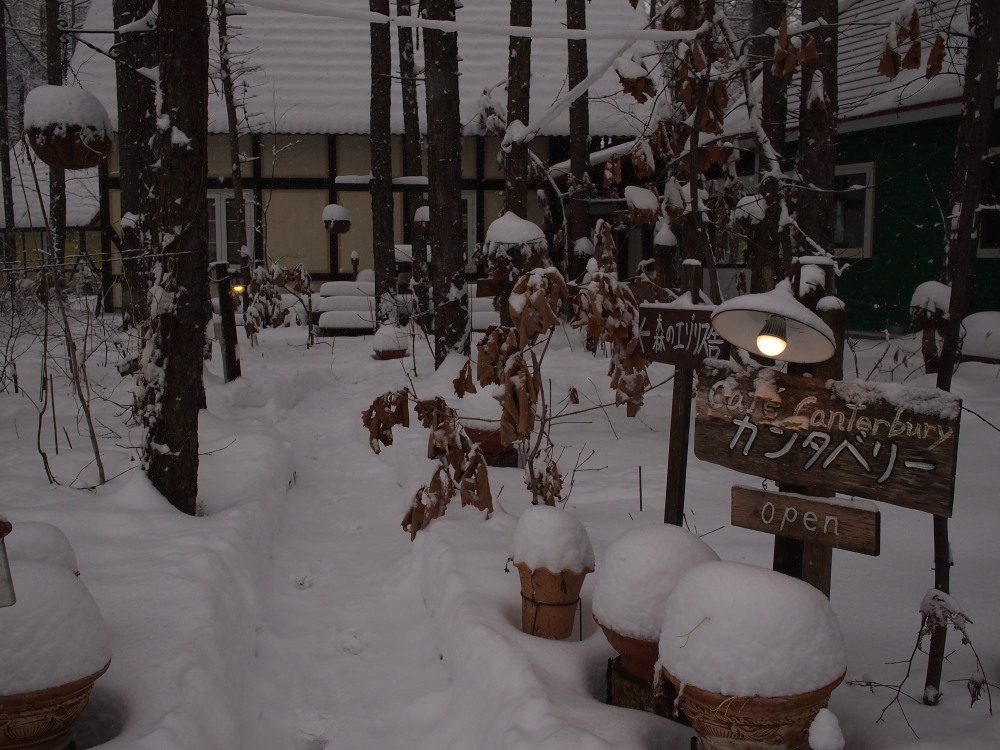 雪の少ない今年の中札内村・・初めてのまとまった積雪になりました。_f0276498_1652286.jpg