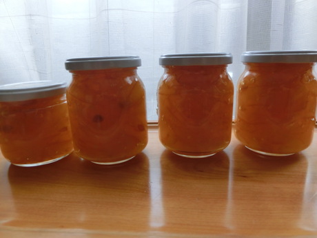 a0203003_11473481.jpg