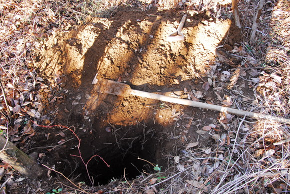 Yam digging_b0223512_023943.jpg