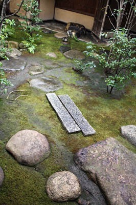 冬の露地 茶庭 麻生圭子 水辺の家で猫と暮らしています